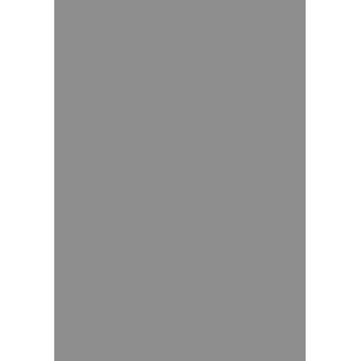 pinlock lem multriprose