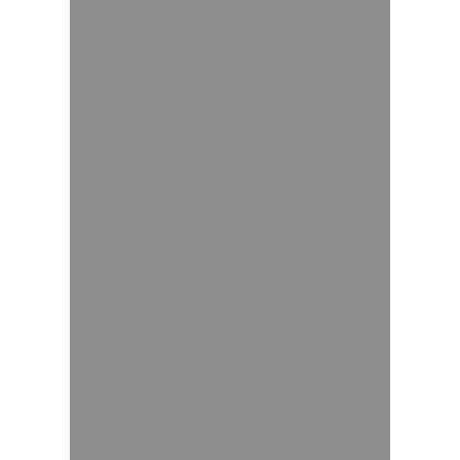 alpinestar